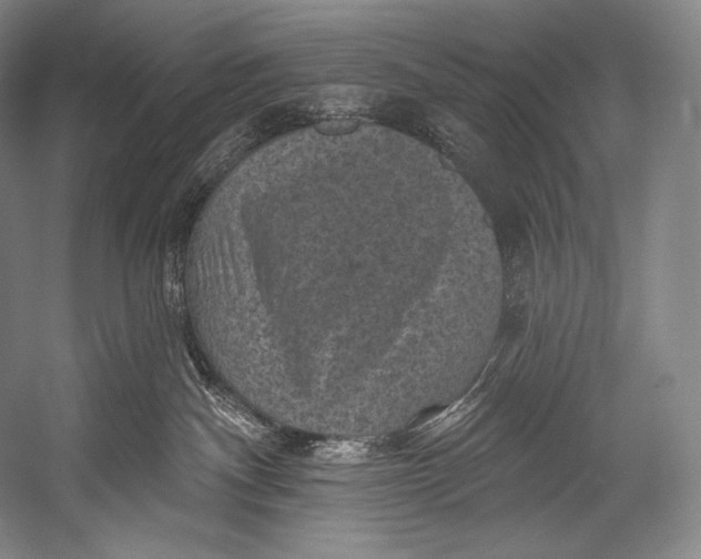 X0000052570140200507221512