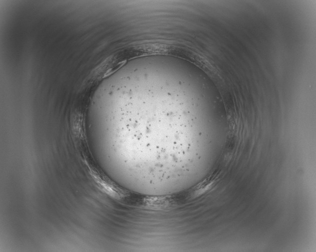 X0000052570141200507221512