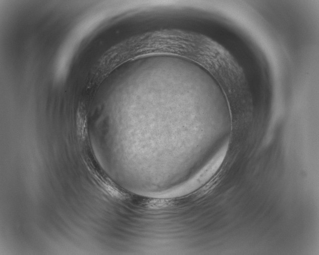 X0000052570142200507221512