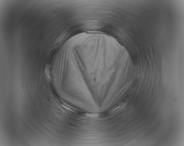 X0000052570143200507221512