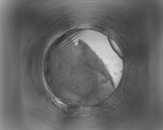 X0000052570145200507221511