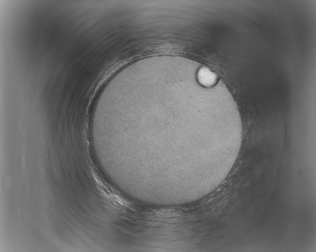 X0000052570146200507221511