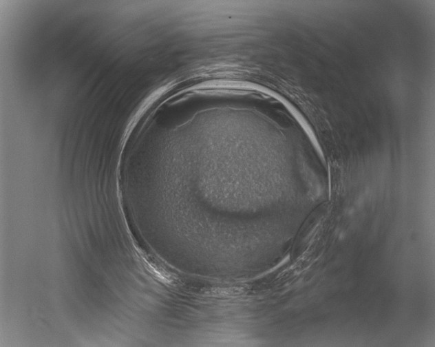 X0000052570147200507221511