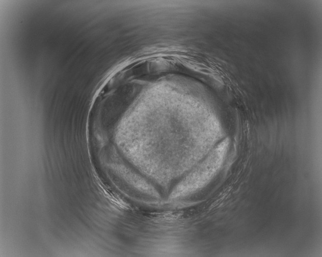 X0000052570148200507221511