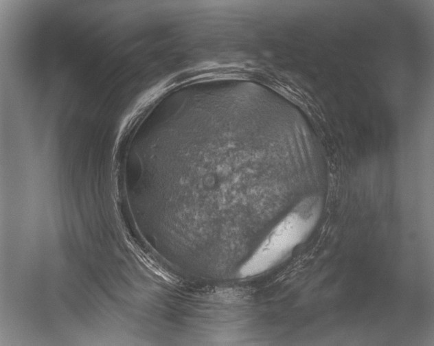 X0000052570149200507221511