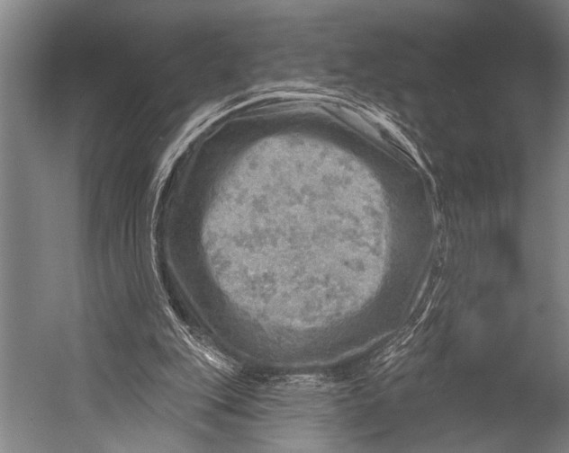 X0000052570151200507221511