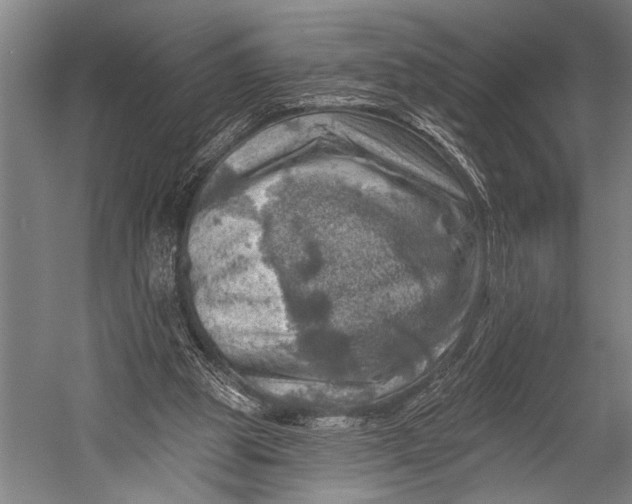 X0000052570153200507221511