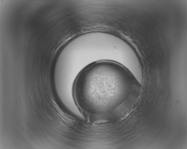 X0000052570154200507221511