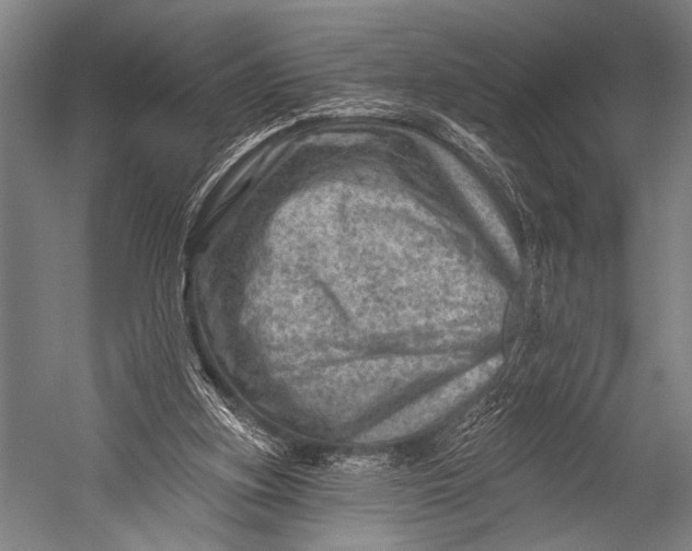 X0000052570155200507221511