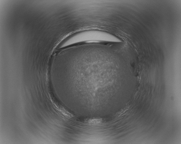 X0000052570156200507221511