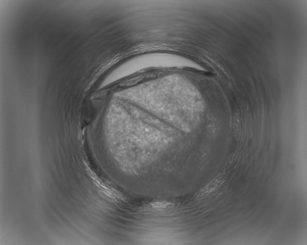 X0000052570158200507221511