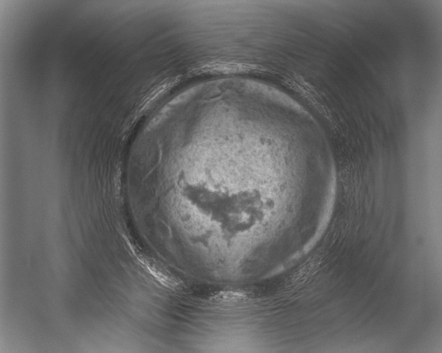 X0000052570159200507221511