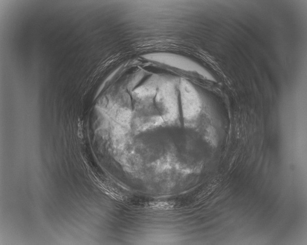 X0000052570161200507221511