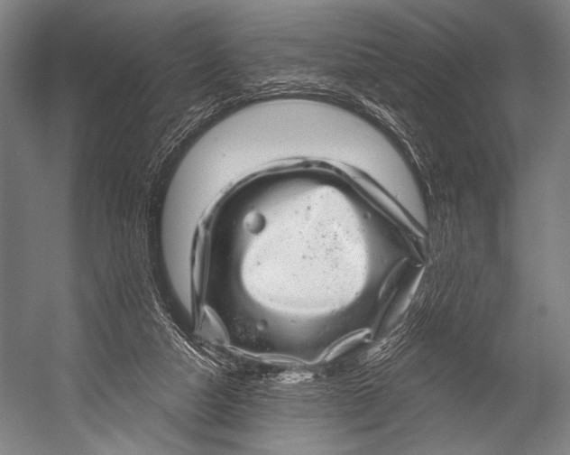 X0000052570162200507221511