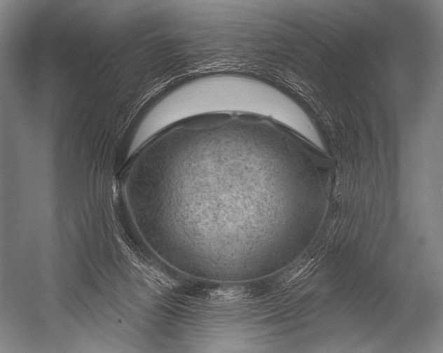 X0000052570164200507221511