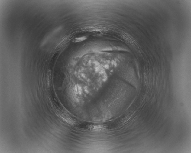 X0000052570165200507221511