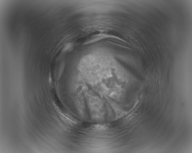 X0000052570166200507221511