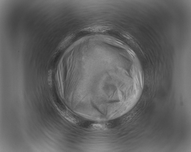 X0000052570167200507221511