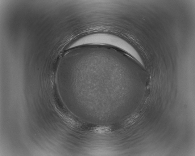 X0000052570168200507221511