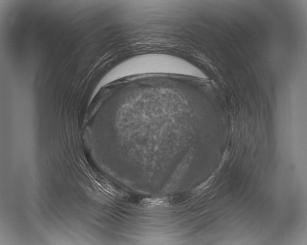 X0000052570170200507221511