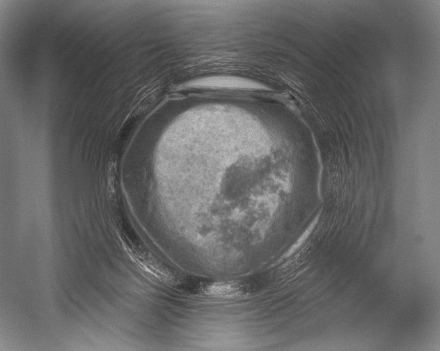 X0000052570171200507221511