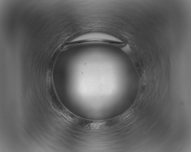 X0000052570172200507221511