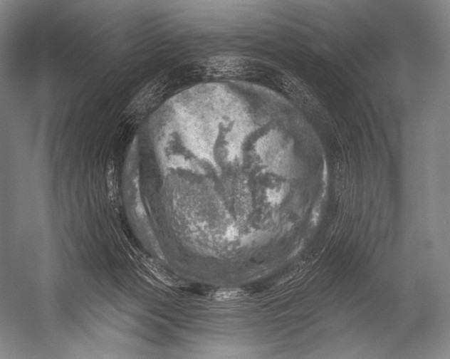 X0000052570173200507221511