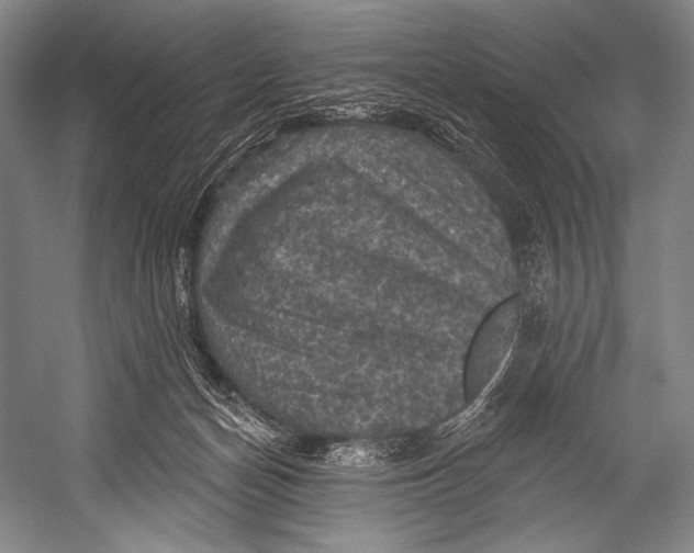 X0000052570174200507221511