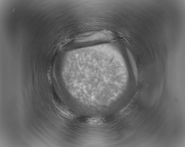 X0000052570175200507221511