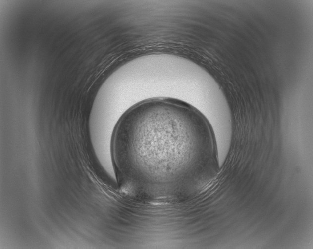 X0000052570176200507221511