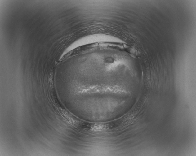 X0000052570177200507221511