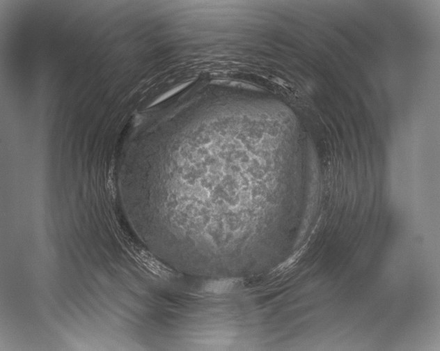 X0000052570178200507221511