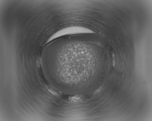 X0000052570180200507221511