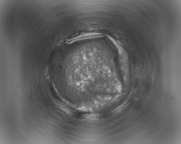 X0000052570182200507221511