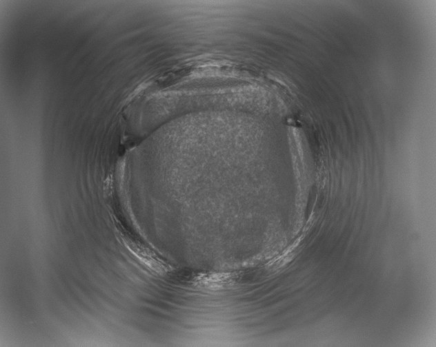 X0000052570186200507221512