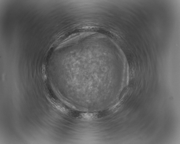 X0000052570187200507221512