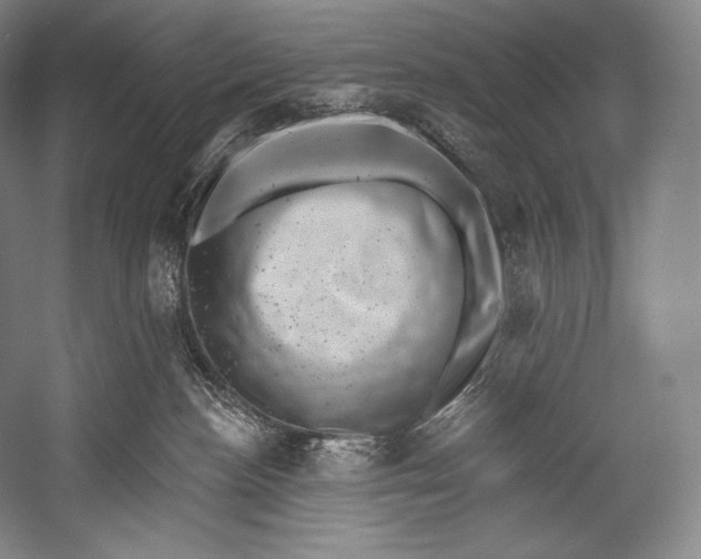 X0000052570188200507221512