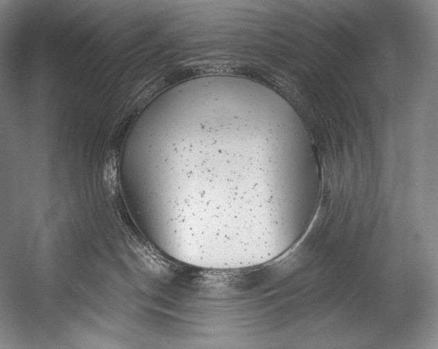 X0000052570190200507221512