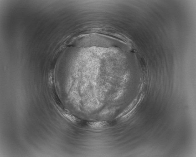 X0000052570191200507221512