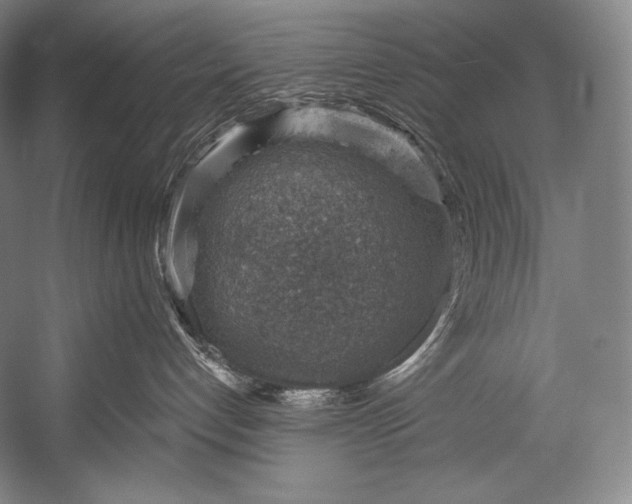 X0000052570192200507221512