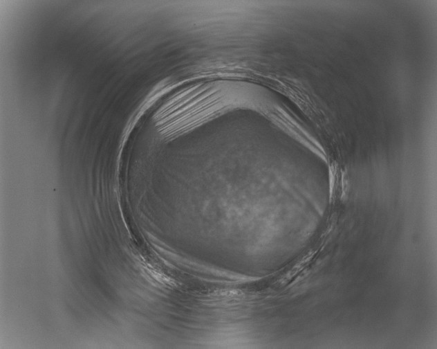 X0000052570195200507221511