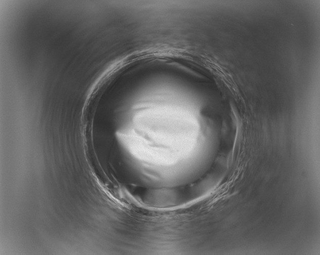 X0000052570197200507221511