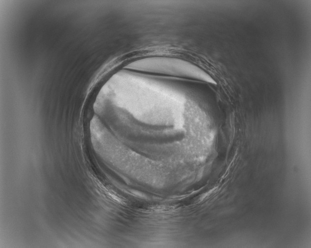 X0000052570198200507221511