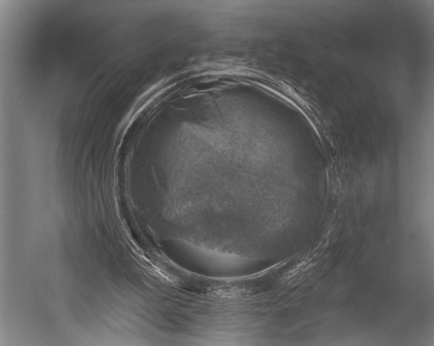 X0000052570199200507221511