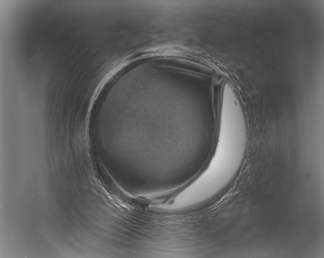 X0000052570200200507221511