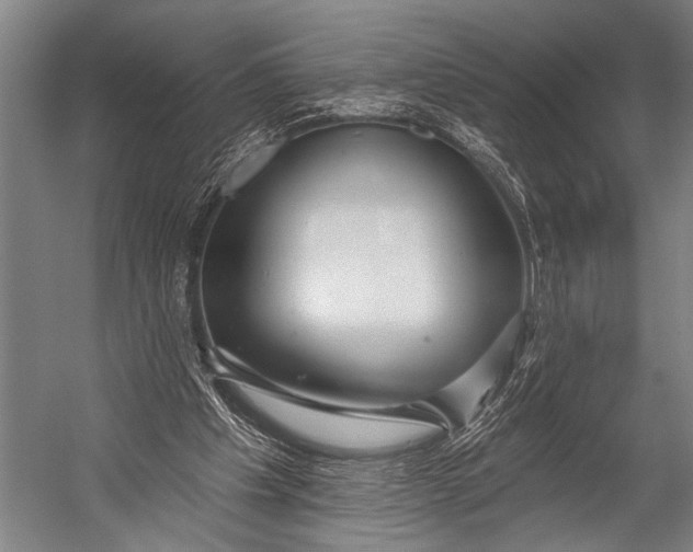 X0000052570201200507221511