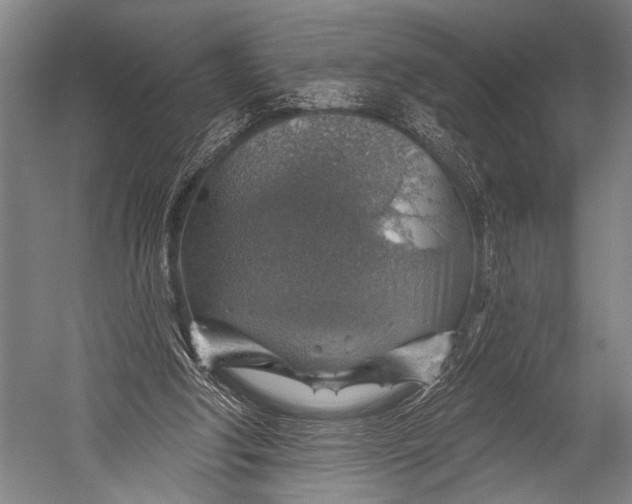 X0000052570202200507221511