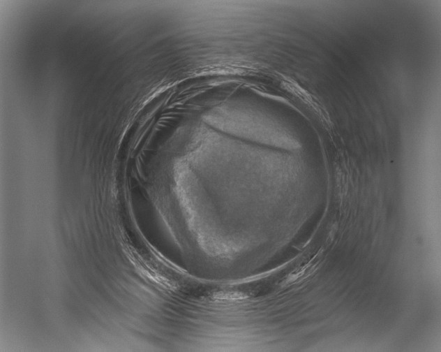 X0000052570203200507221511