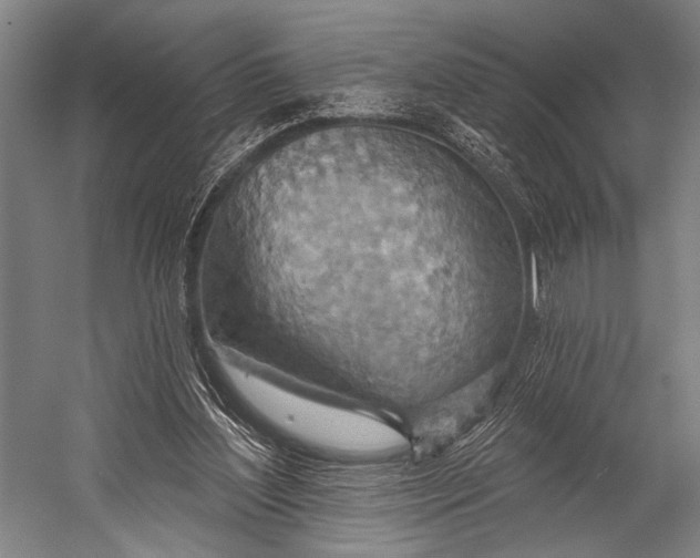 X0000052570204200507221511