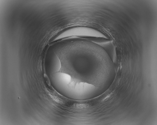 X0000052570205200507221511